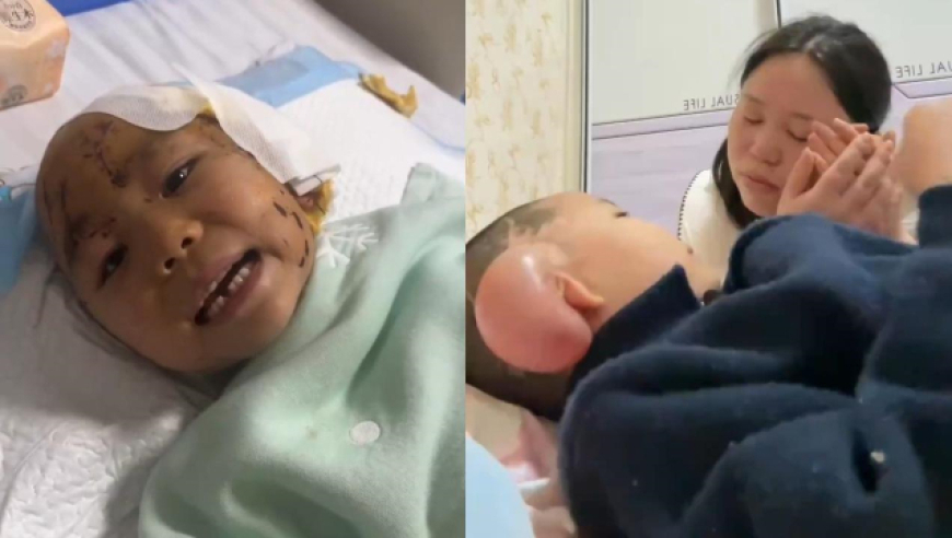 董浩叔叔寻人仅48小时就成功了,管家婆澳门开奖结果,国产化作答解释落实_高级版V10.93