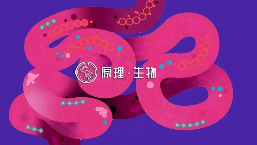 2025年澳门跑狗图正版下载,骆俊帆对夏夏道歉,最佳精选解释落实_黄金版V7.41